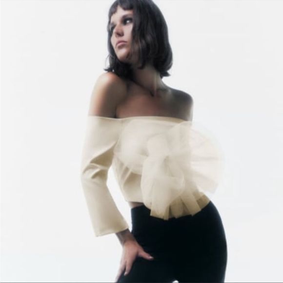 ZARA CROPPED FLORAL TULLE TOP 1971/194/224/012 - Picture 5 of 8